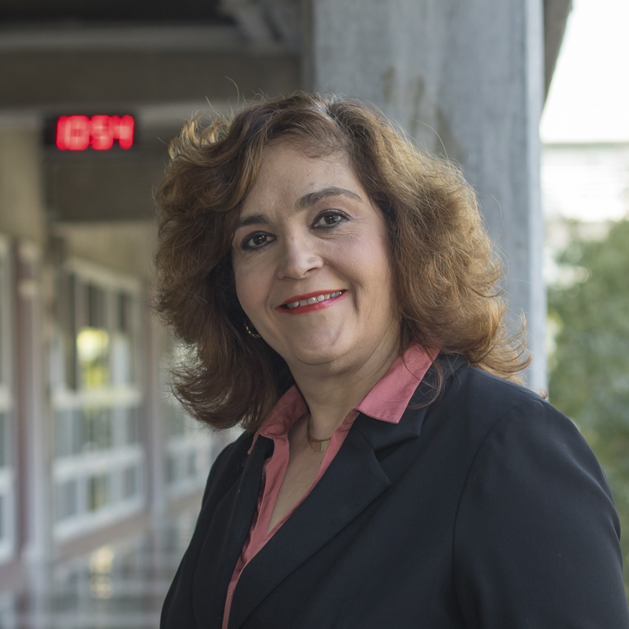 Luz María Villarreal Copado